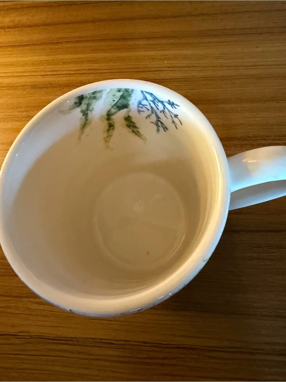 Pier 1 Sea Life Ironstone Coffee Mug